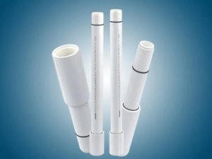 WhatsApp Image 2026-02-19 at 16.43.09