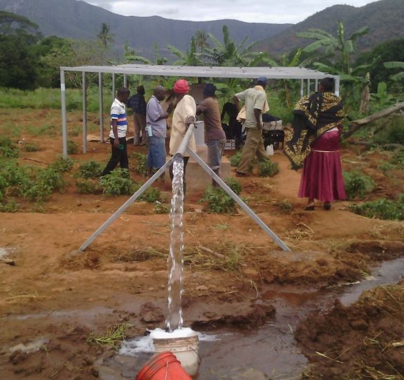 Tanzania's Number One Pump Supplier
